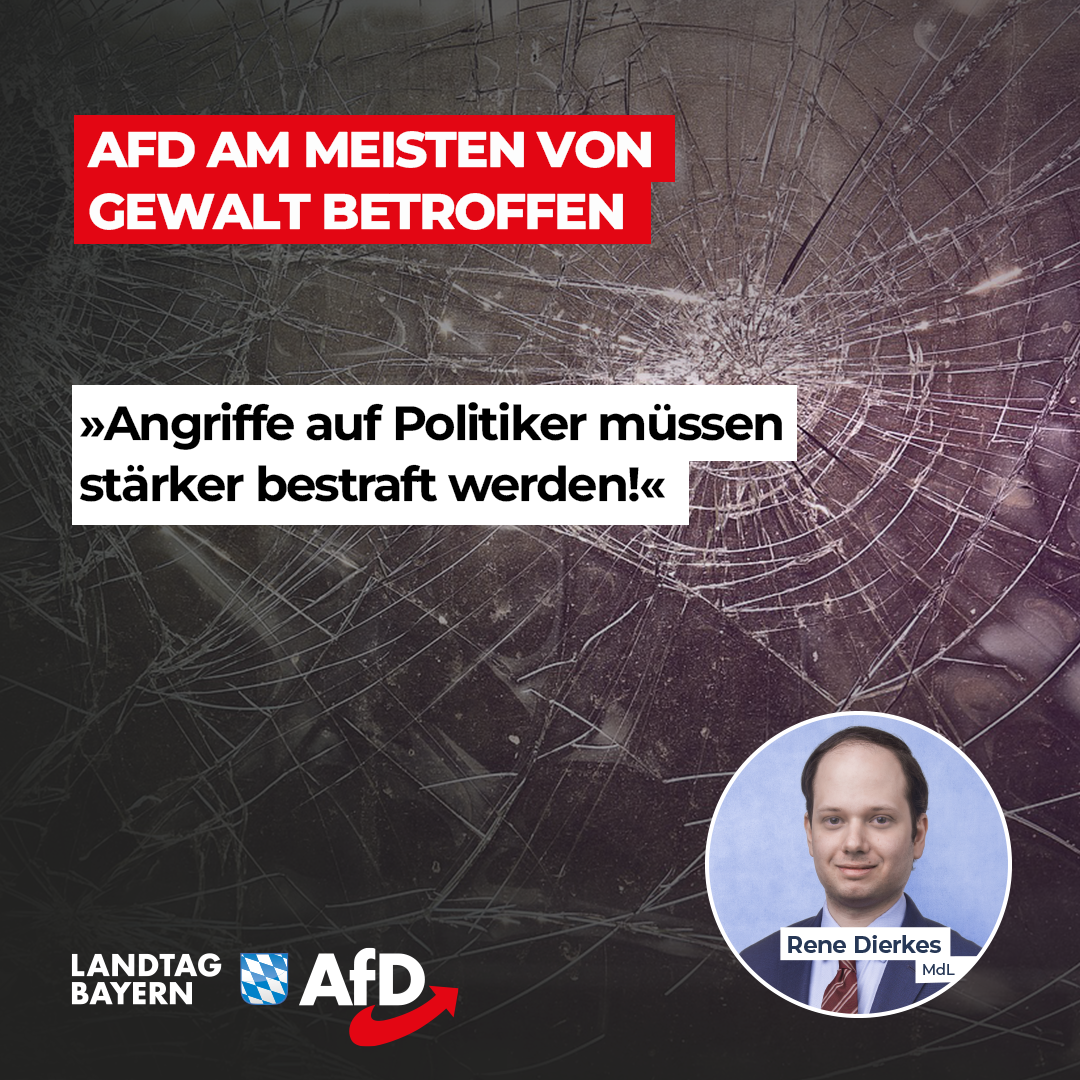 20240513 3 Dierkes Gewalt AfD