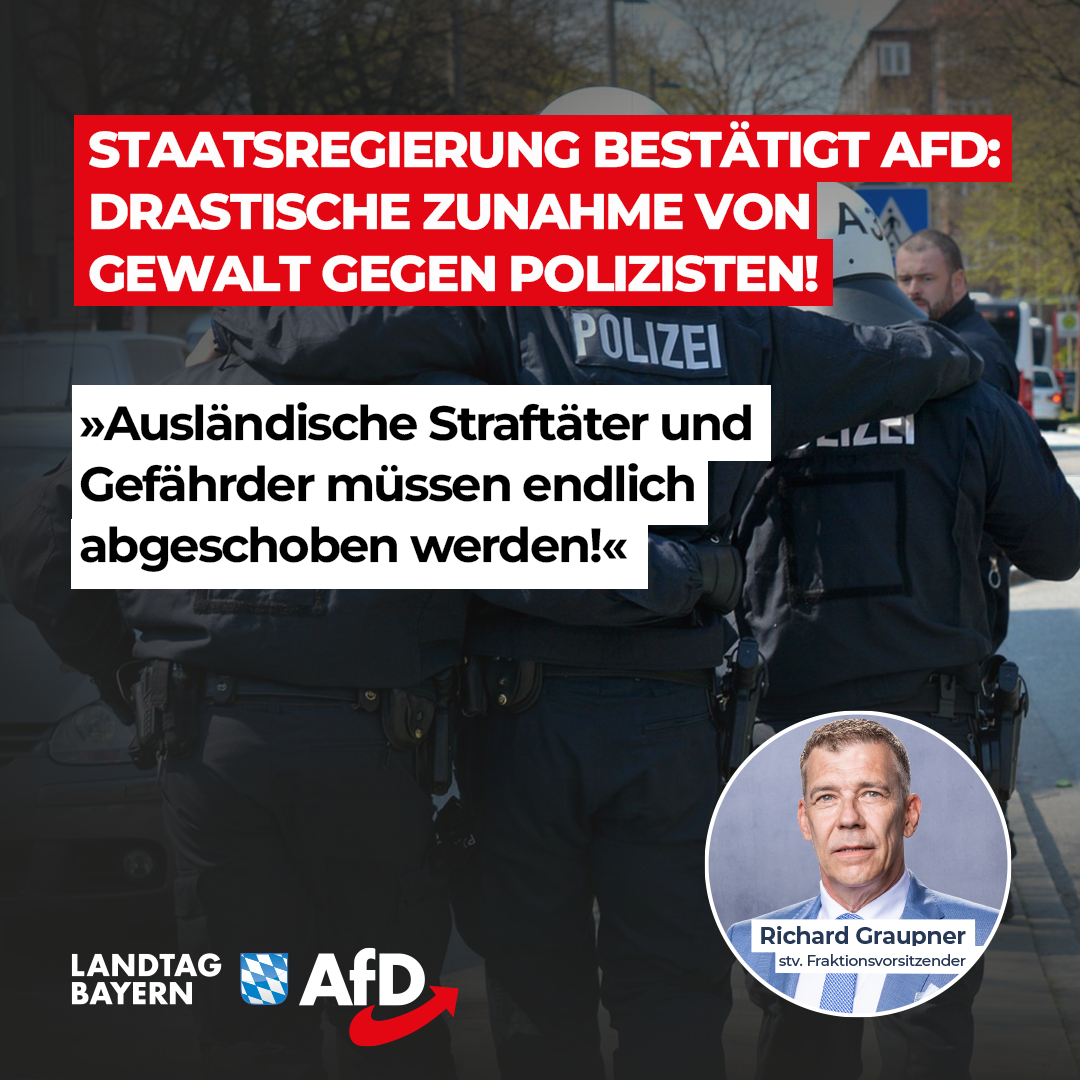 auslaendische Straftaeter abschieben