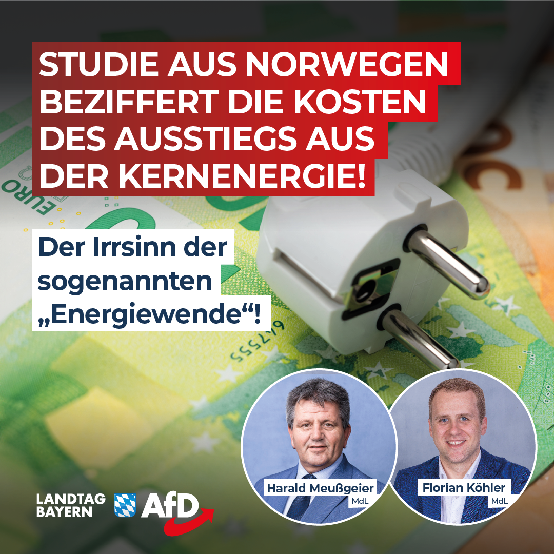 20240918 Meussgeier Koehler Energiewende