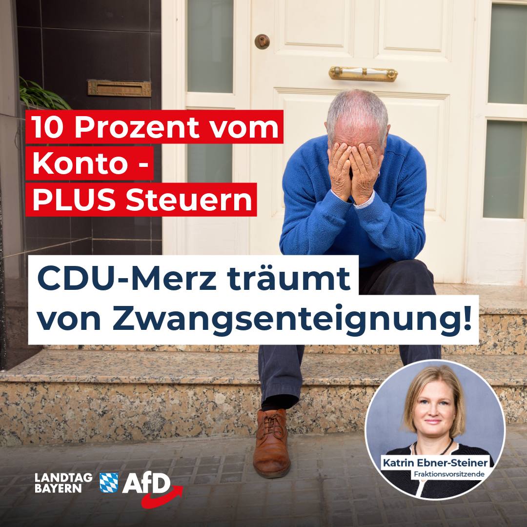 Merz traeumt von Zwangsenteignung