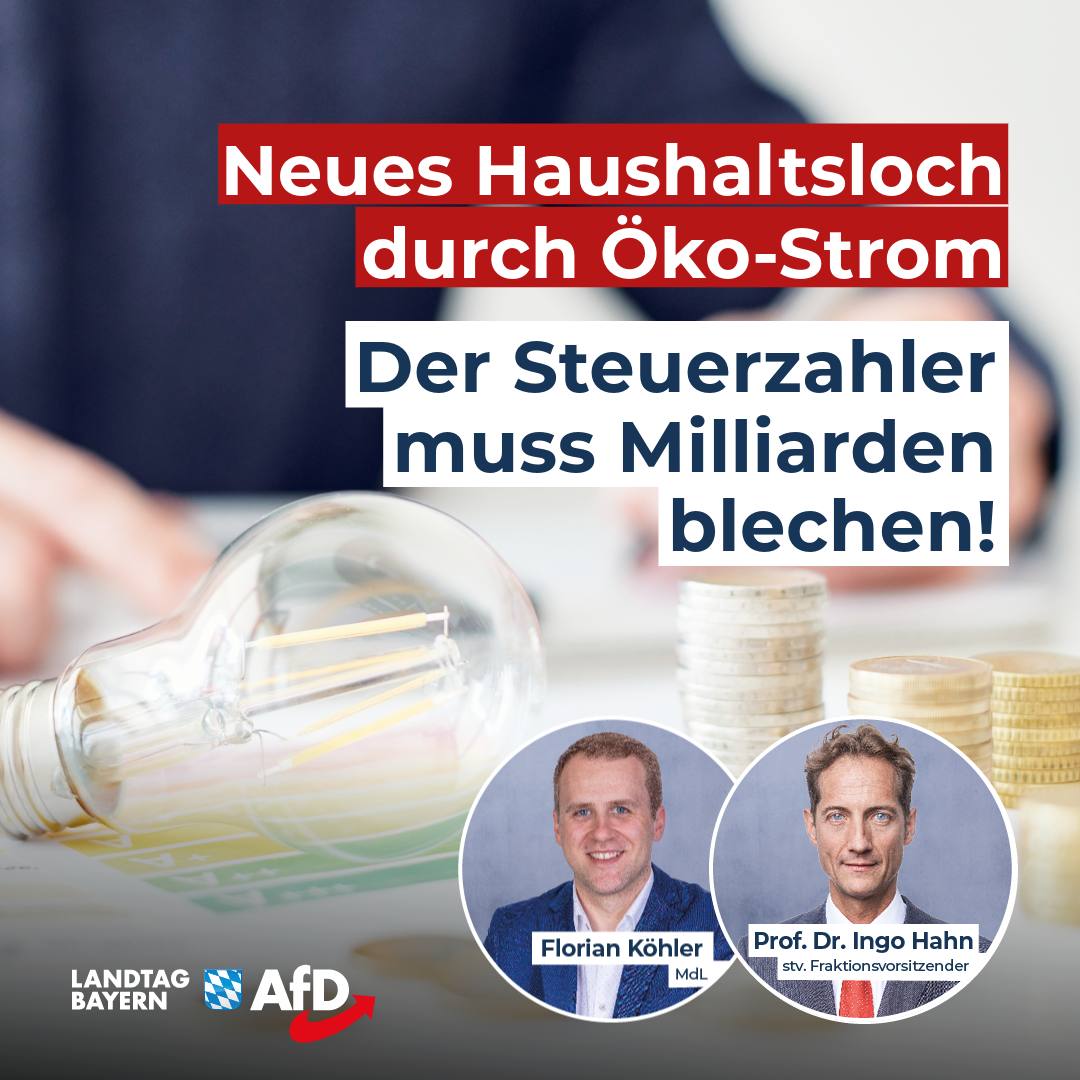 Oeko Strom Steuerzahler