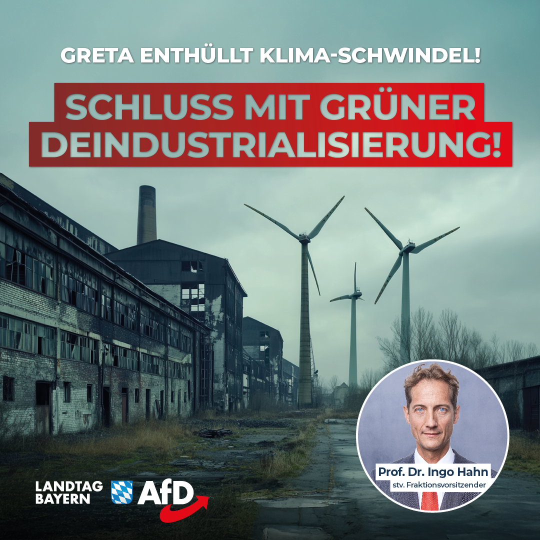 20241114 Schluss mit gruener Deindustrialisierung