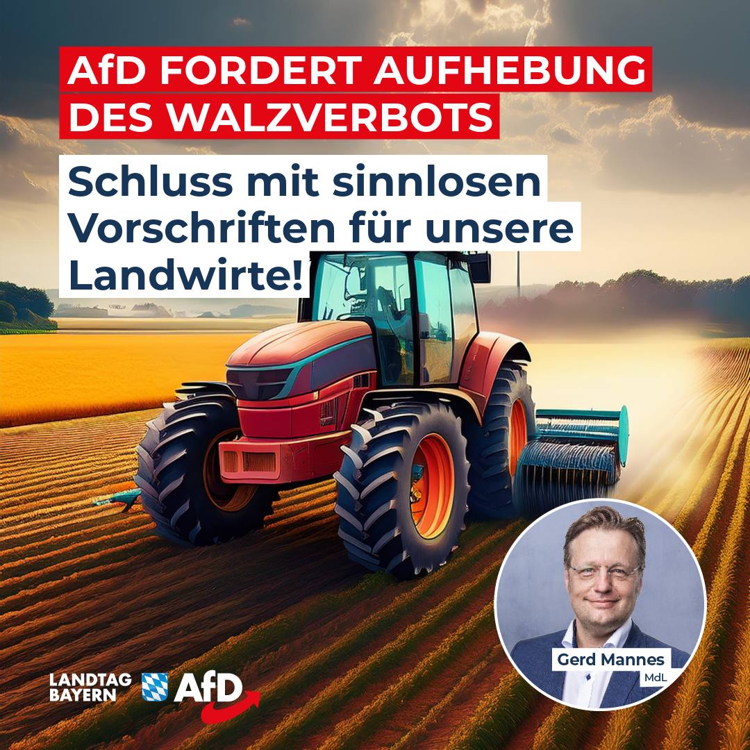 AfD Aufhebung Walzverbot